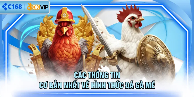Các thông tin cơ bản nhất về hình thức đá gà mé