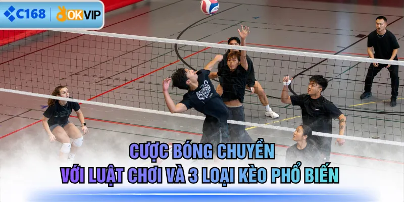 Cược Bóng Chuyền Với Luật Chơi Và 3 Loại Kèo Phổ Biến