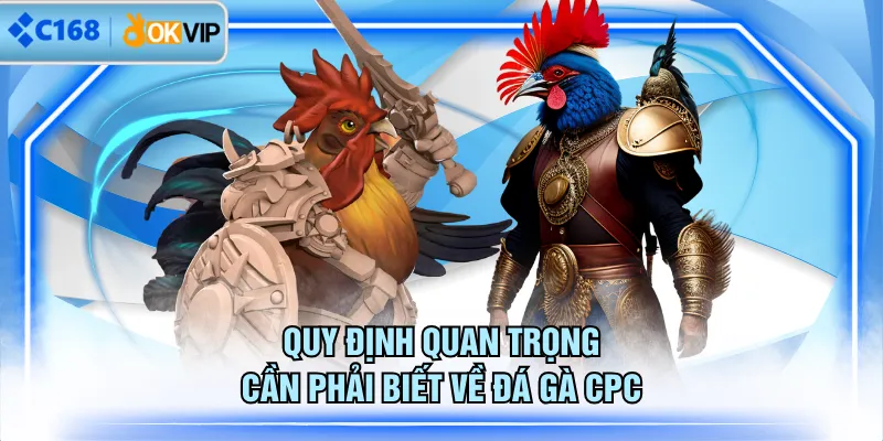 Quy định quan trọng cần phải biết về đá gà CPC